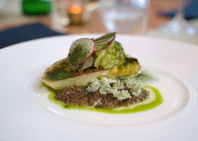 Roślinne cuda Rafała Koziorzemskiego